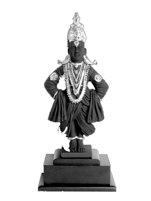 VITTHAL SILVER 12